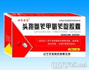 世紀鑫威 一站式專業代理服務，助您輕松拓展優質產品資源
